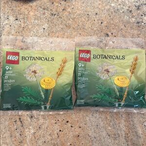 LEGO Botanicals Set 30701 - Field Flowers NEW SEALED (2)